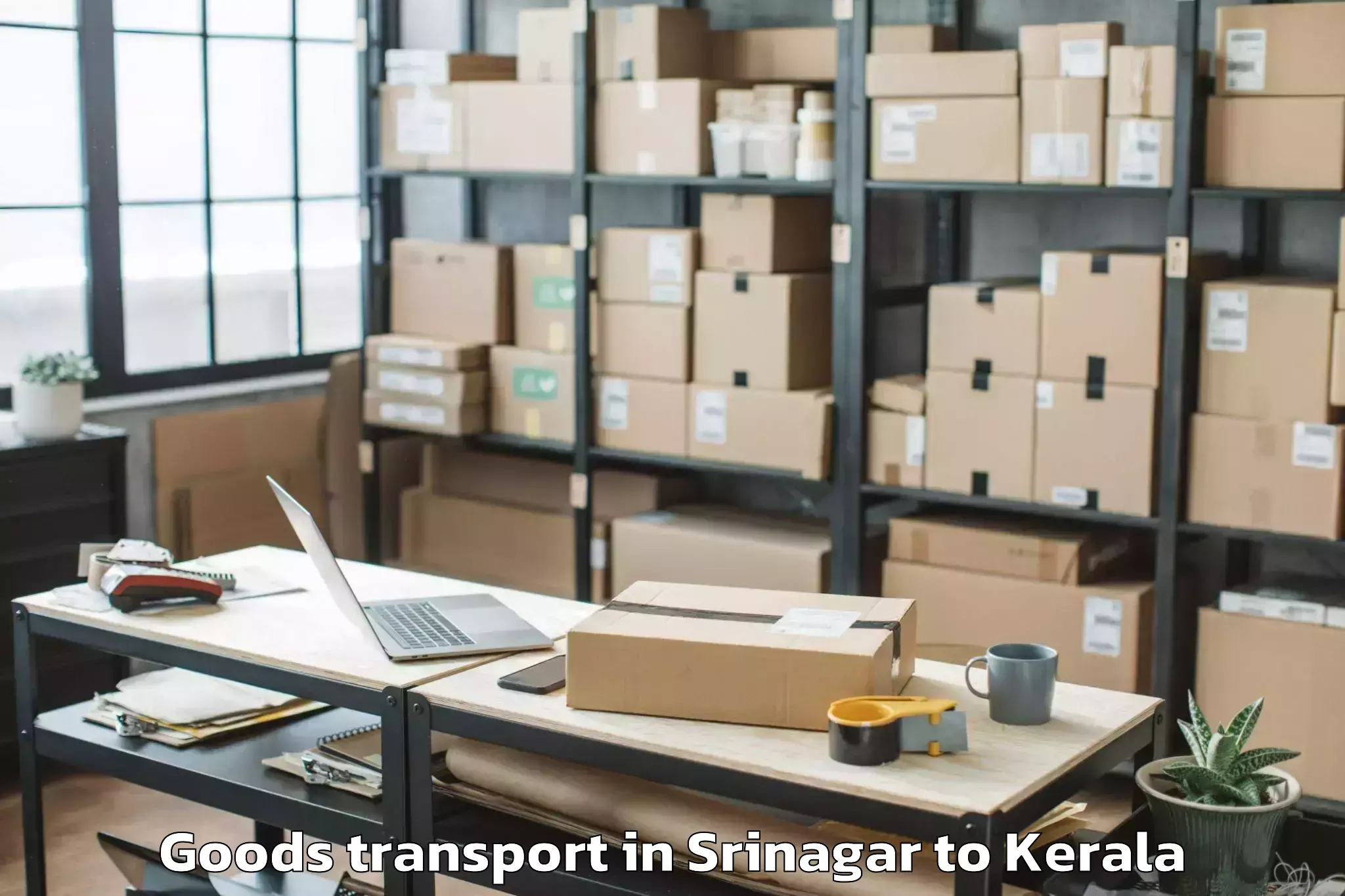 Professional Srinagar to Thangaloor Goods Transport